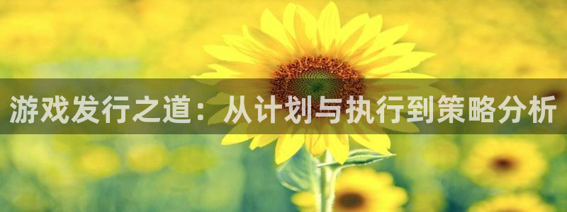 四川bg大游科技有限公司：游戏发行之道：从计划与执行到策略分析