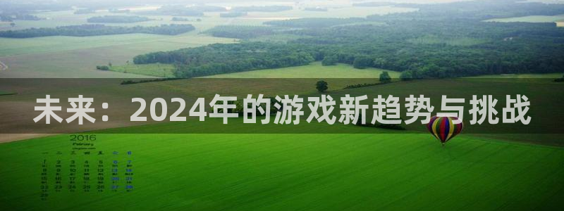 bg大游子经理人一共出了多少本：未来：2024年的游戏新趋势与挑战