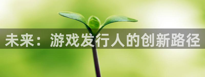 bg大游子股价：未来：游戏发行人的创新路径