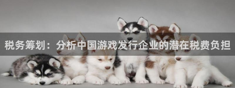 四川bg大游科技有限公司：税务筹划：分析中国游戏发行企业的潜在税费负担