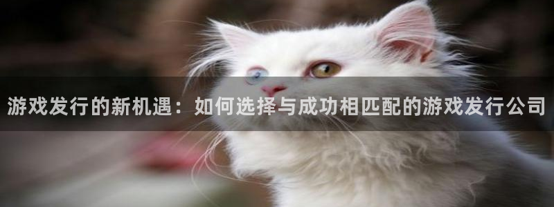 bg大游官网平台代理开号是真的吗：游戏发行的新机遇：如何选择与成功相匹配的游戏发行公司