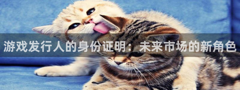 bg大游官网注册平台登录不了：游戏发行人的身份证明：未来市场的新角色