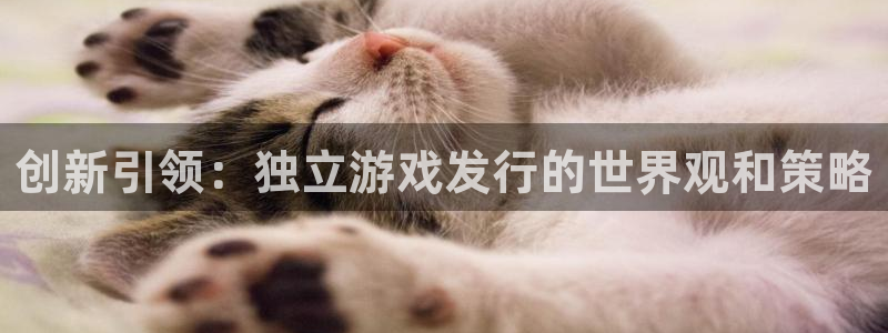 bg大游子文化有什么游戏：创新引领：独立游戏发行的世界观和策略