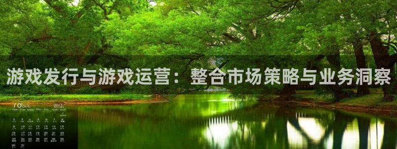 bg大游官网登录注册账号失败：游戏发行与游戏运营：整合市场策略与业务洞察