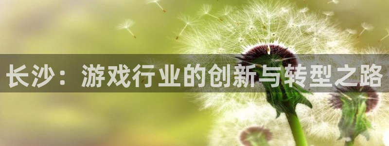 广州bg大游运动服：长沙：游戏行业的创新与转型之路