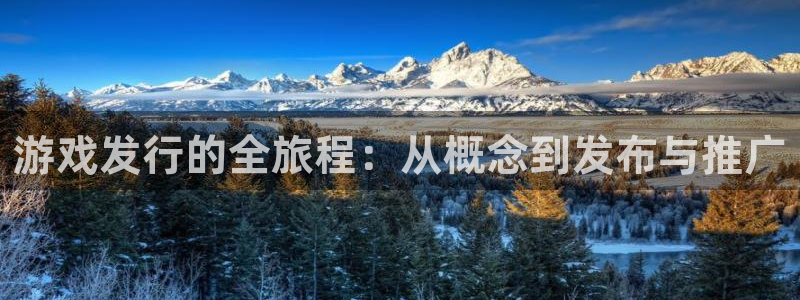 bg大游服装品牌：游戏发行的全旅程：从概念到发布与推广