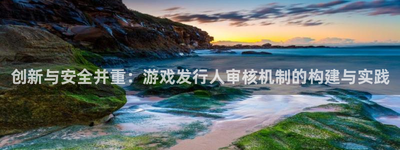 bg大游logo：创新与安全并重：游戏发行人审核机制的构建与实践