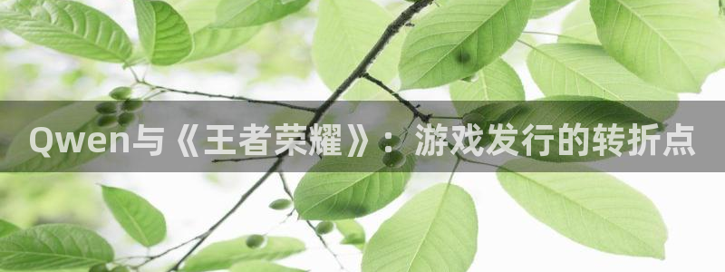 bg大游品牌设计：Qwen与《王者荣耀》：游戏发行的转折点