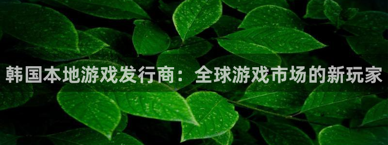 bg大游防水的质量怎么样：韩国本地游戏发行商：全球游戏市场的新玩家