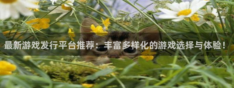 bg大游官网官网注册账号怎么注册：最新游戏发行平台推荐：丰富多样化的游戏选择与体验！