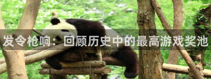 bg大游品牌设计：发令枪响：回顾历史中的最高游戏奖池