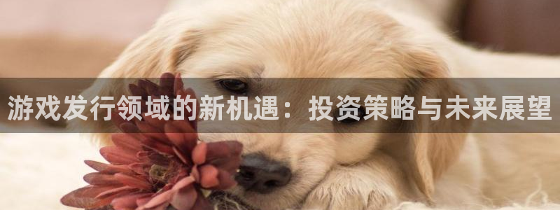 bg大游子文化是干什么的：游戏发行领域的新机遇：投资策略与未来展望