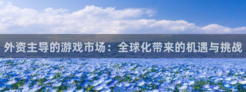 广州bg大游足球俱乐部：外资主导的游戏市场：全球化带来的机遇与挑战