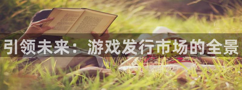 bg大游娱乐测速官网：引领未来：游戏发行市场的全景